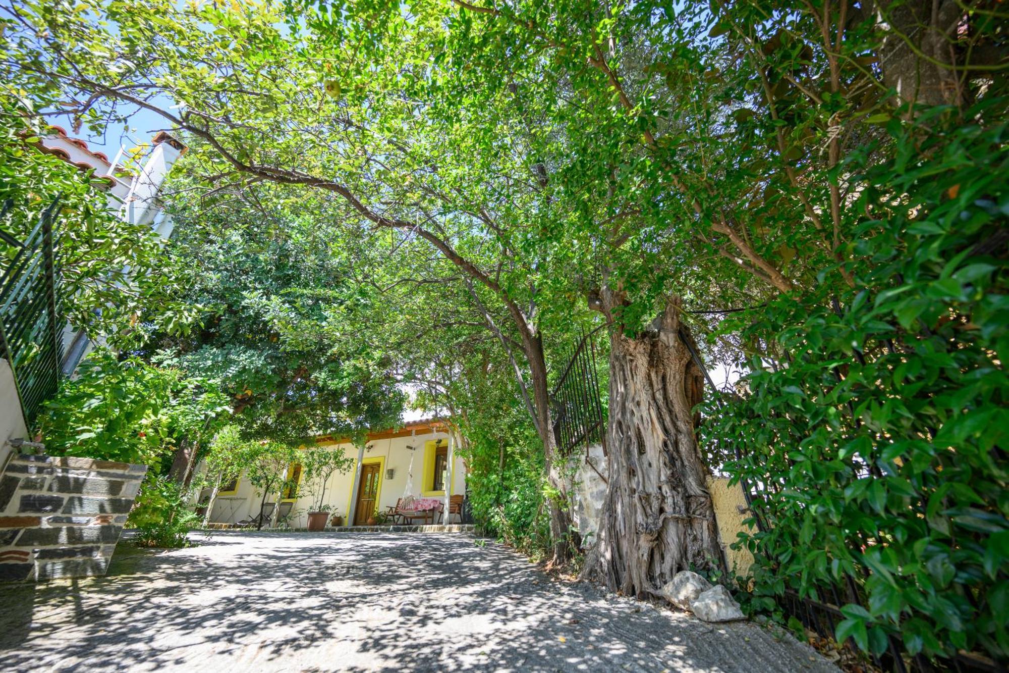 Small Villa Gerani Agios Vlasios  Exterior foto